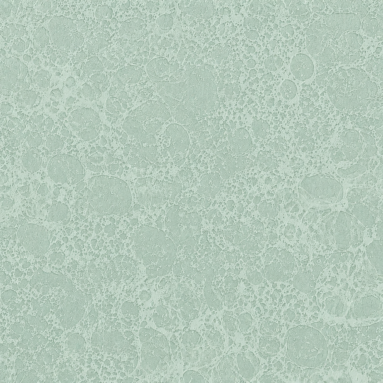 New living room wallpaper ideas direction combining soft textural living room, bold botanical feature wall, warm heritage pattern